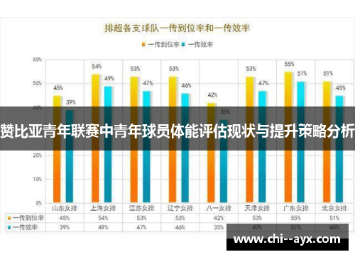 赞比亚青年联赛中青年球员体能评估现状与提升策略分析