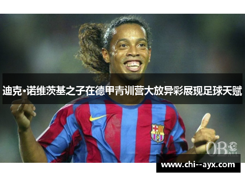 迪克·诺维茨基之子在德甲青训营大放异彩展现足球天赋