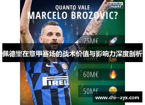 佩德里在意甲赛场的战术价值与影响力深度剖析