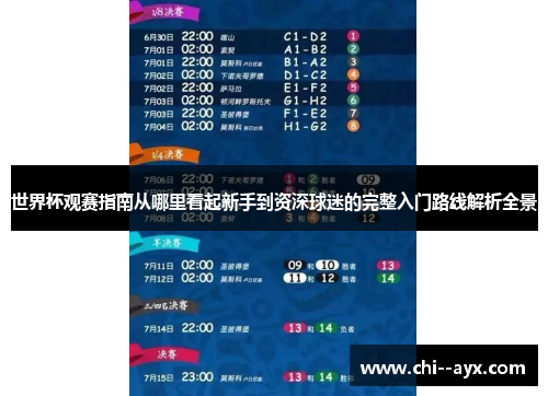 世界杯观赛指南从哪里看起新手到资深球迷的完整入门路线解析全景