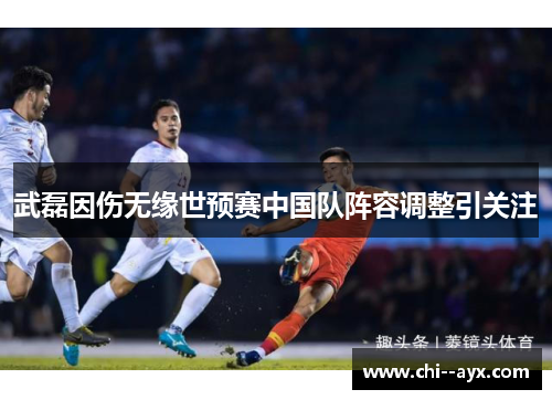 武磊因伤无缘世预赛中国队阵容调整引关注