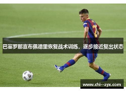 巴塞罗那宣布佩德里恢复战术训练，逐步接近复出状态