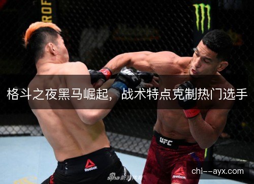 格斗之夜黑马崛起,战术特点克制热门选手 格斗之夜黑马崛起,战术特点克制热门选手